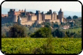 Languedoc Wine App