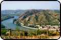 Norther Rhone Valley Wine App