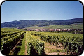 France free photos, Alsace wine photos